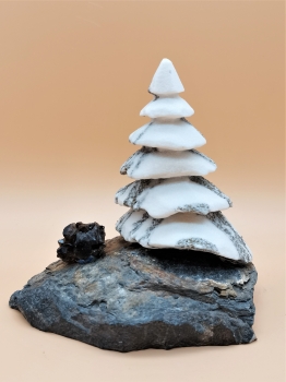 Preview: Walliser Goldmarmor-Binntree auf Bündnerschiefer und Rauchquarz